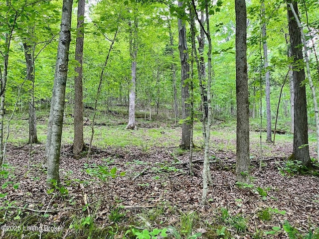 2212 Duff Rd, Leitchfield, KY 42754 - view of woods