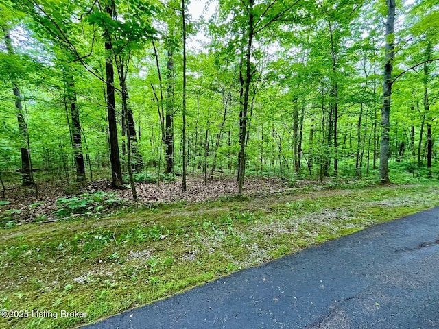 2212 Duff Rd, Leitchfield, KY 42754 - view of woods