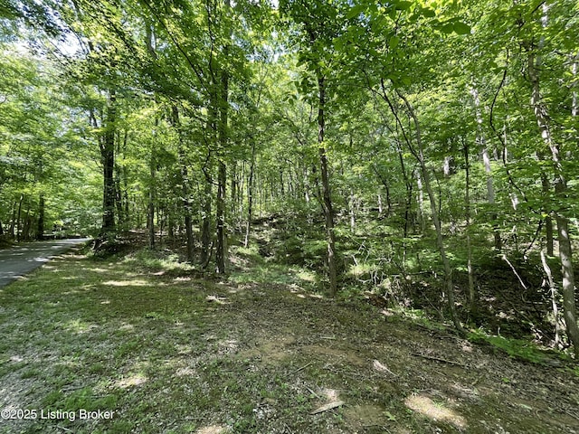 2212 Duff Rd, Leitchfield, KY 42754 - view of woods