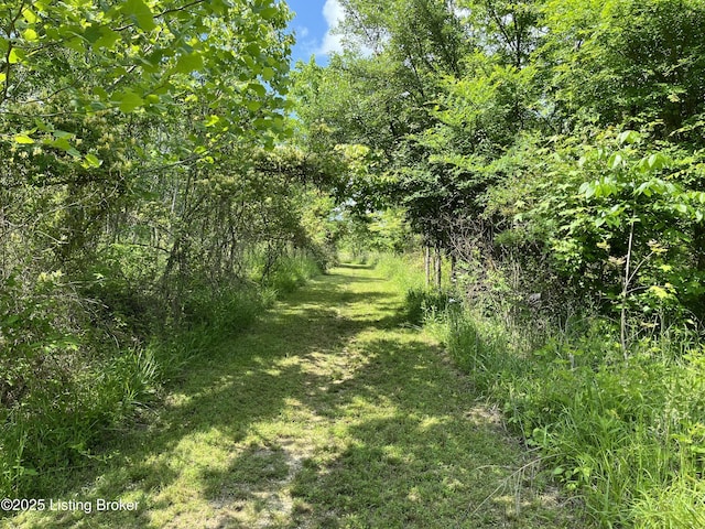2212 Duff Rd, Leitchfield, KY 42754 - view of woods
