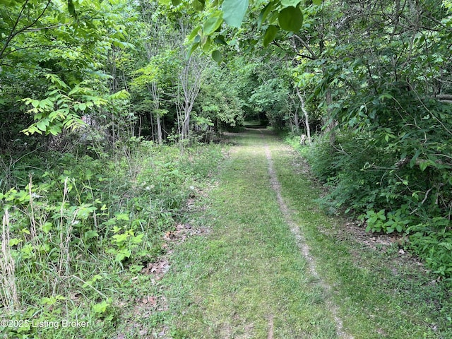 2212 Duff Rd, Leitchfield, KY 42754 - view of yard