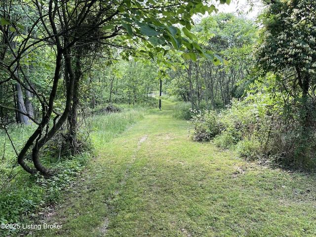 2212 Duff Rd, Leitchfield, KY 42754 - view of green lawn with a view of trees