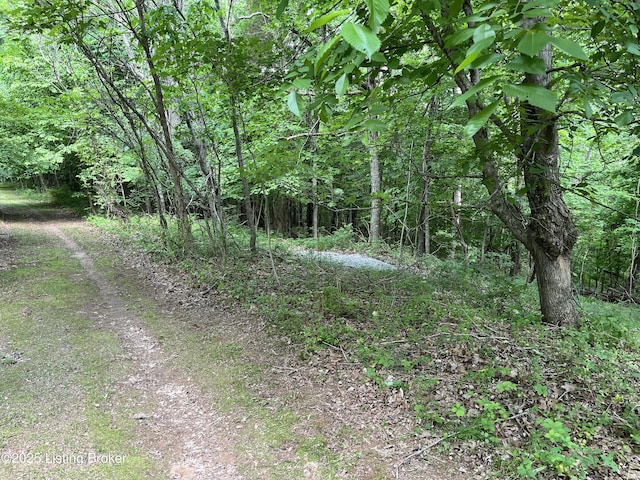 2212 Duff Rd, Leitchfield, KY 42754 - view of wooded area