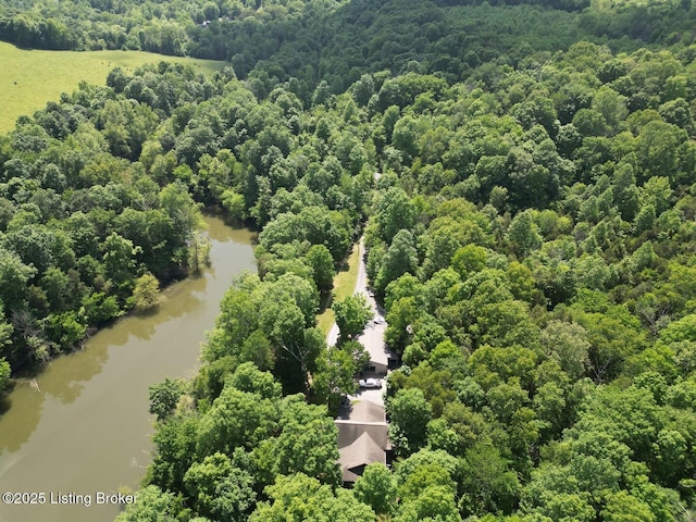 2212 Duff Rd, Leitchfield, KY 42754 - aerial view of a large body of water and a forest
