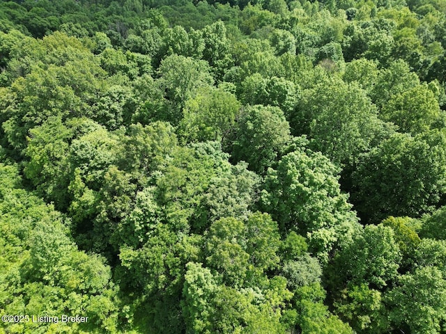 2212 Duff Rd, Leitchfield, KY 42754 - aerial view of property and surrounding area featuring a heavily wooded area
