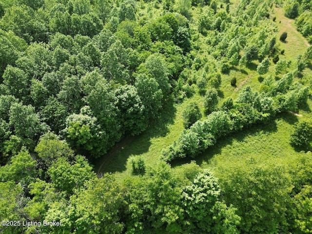 2212 Duff Rd, Leitchfield, KY 42754 - bird's eye view