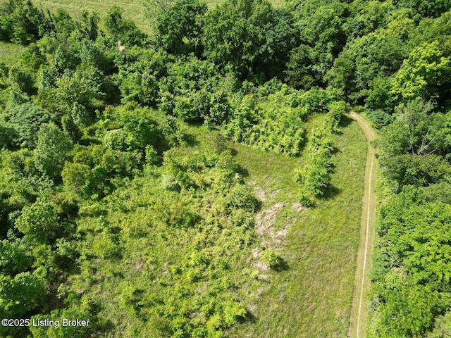 2212 Duff Rd, Leitchfield, KY 42754 - aerial view of property and surrounding area