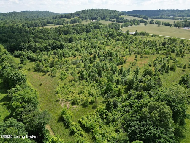 2212 Duff Rd, Leitchfield, KY 42754 - drone / aerial view of a forest