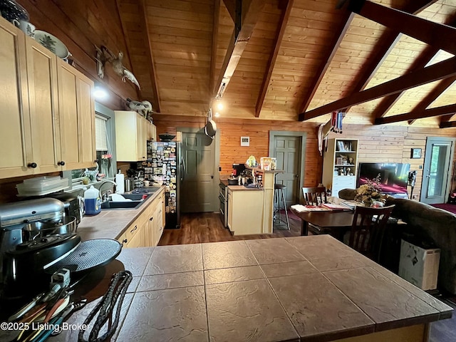 2212 Duff Rd, Leitchfield, KY 42754 - kitchen with wood walls, wood ceiling, dark wood-style floors, open floor plan, and tile countertops