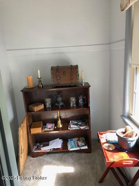 8907 Lakeridge Dr, Louisville, KY 40272 - detailed view of carpet floors