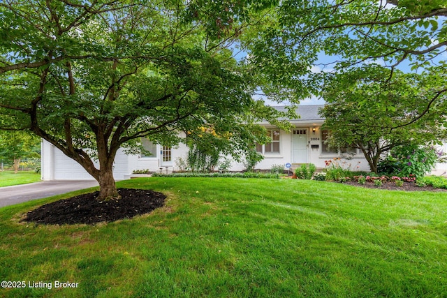 2804 Mayford Way, Louisville, KY 40220 - view of property hidden behind natural elements with a front yard and asphalt driveway