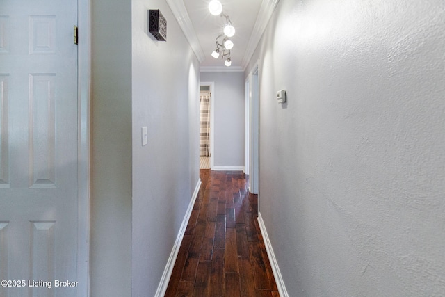 2804 Mayford Way, Louisville, KY 40220 - hall with crown molding and dark wood-style floors