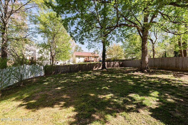 10707 Hickory Cove Ct, Louisville, KY 40245 - view of yard