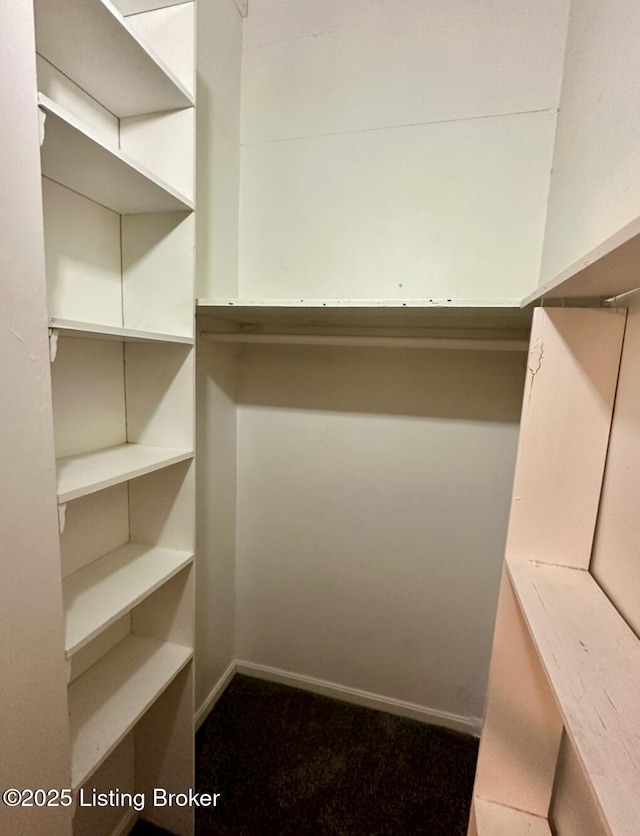 2512 S 4th St, Louisville, KY 40208 - spacious closet with dark colored carpet