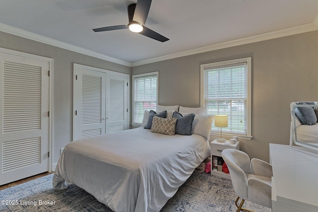 bedroom featuring crown molding, wood finished floors, ceiling fan, and multiple closets