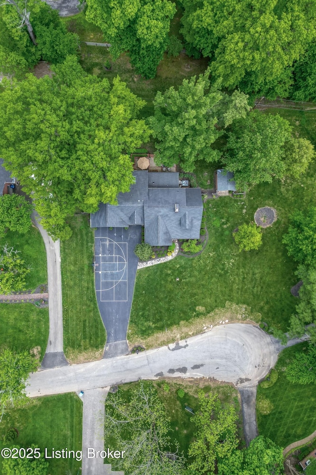 drone / aerial view