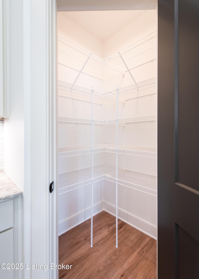 4227 Stilger Cir, Louisville, KY 40299 - view of pantry