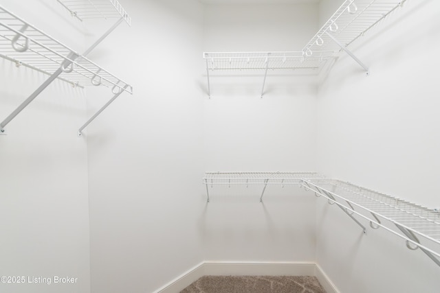 4227 Stilger Cir, Louisville, KY 40299 - walk in closet featuring carpet