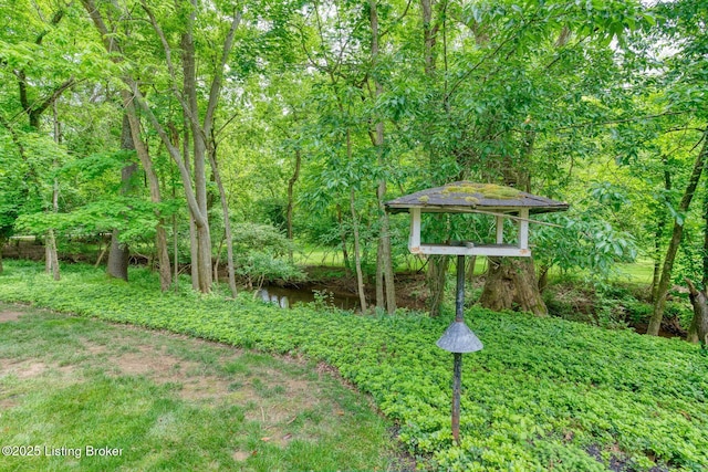 view of yard with a wooded view