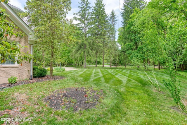 view of grassy yard