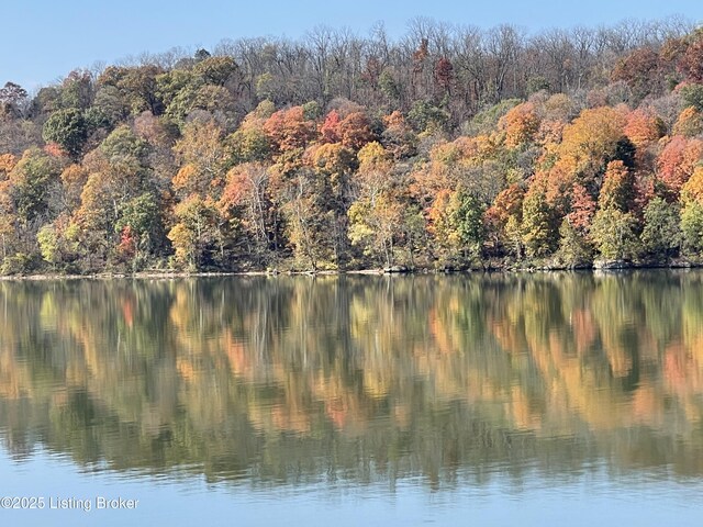 water view featuring a heavily wooded area
