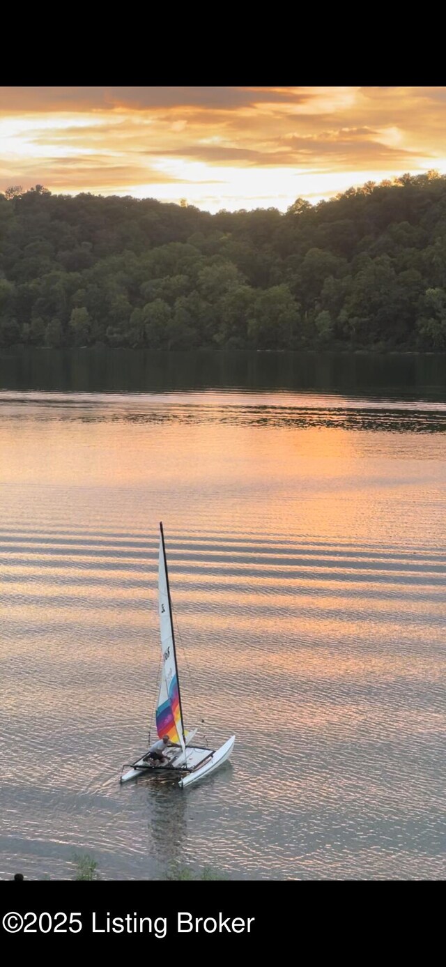 water view featuring a forest
