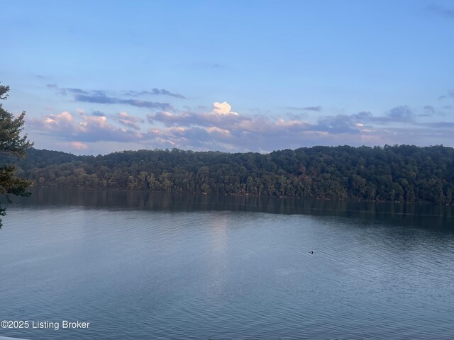 water view with a heavily wooded area