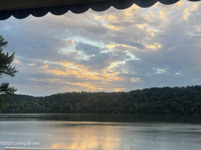 water view with a forest