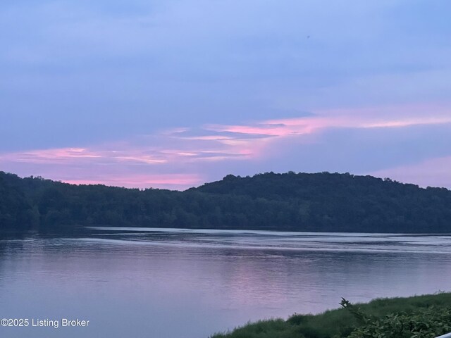 water view featuring a heavily wooded area