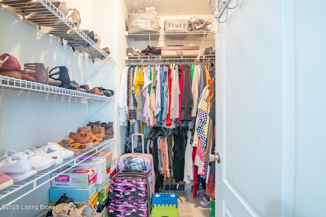 view of spacious closet