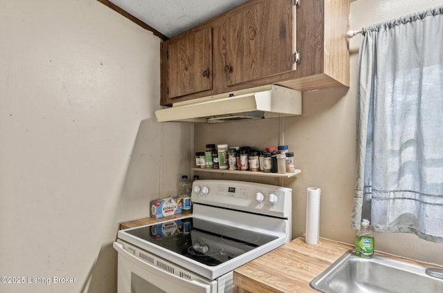 1115 Tilley Dr, Carrollton, KY 41008 - kitchen with white electric range oven, under cabinet range hood, brown cabinets, and light countertops