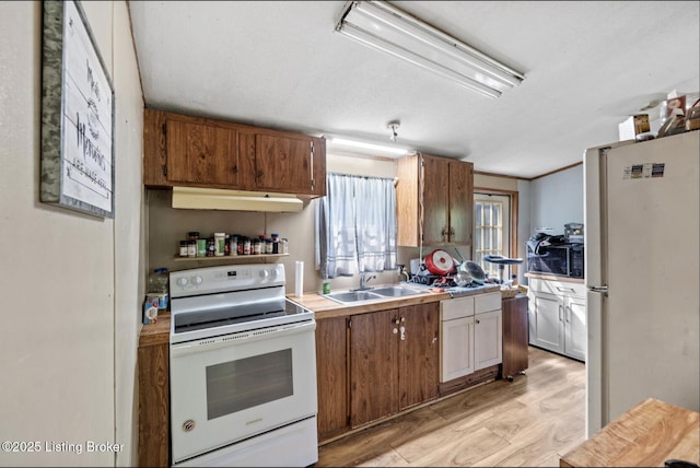 1115 Tilley Dr, Carrollton, KY 41008 - kitchen featuring white appliances, a sink, light wood-style flooring, under cabinet range hood, and light countertops