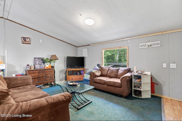 1115 Tilley Dr, Carrollton, KY 41008 - living area with lofted ceiling, wood finished floors, and a textured ceiling