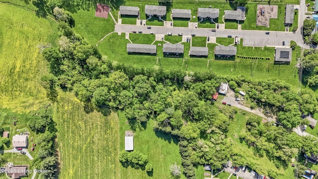 1115 Tilley Dr, Carrollton, KY 41008 - aerial view of property's location