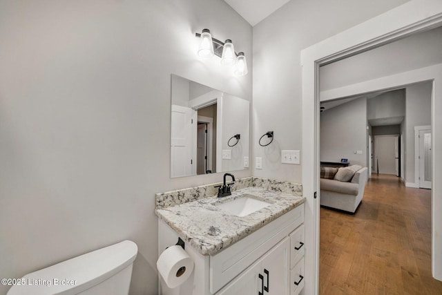 90 Glenn Eagle Rd, Brandenburg, KY 40108 - bathroom with toilet, vanity, and wood finished floors