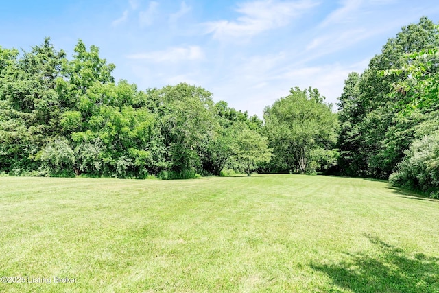 1323 Ballard Ct, La Grange, KY 40031 - photo 45