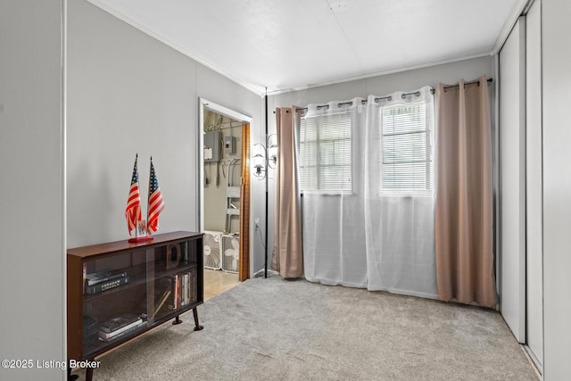 200 Derby Ave, Louisville, KY 40218 - empty room featuring carpet floors and crown molding