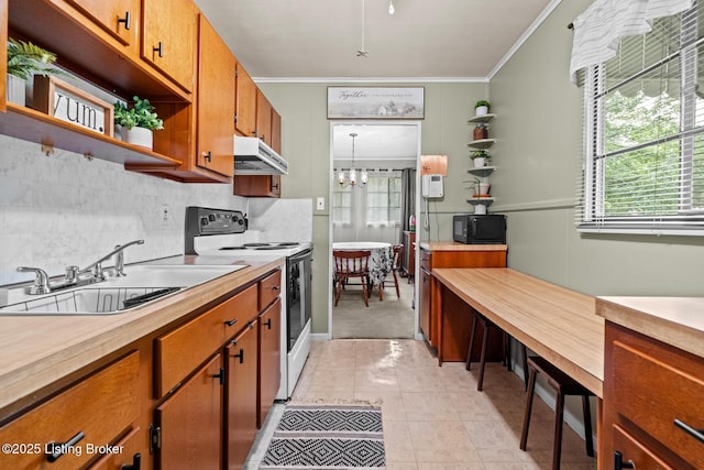 200 Derby Ave, Louisville, KY 40218 - kitchen featuring range with electric cooktop, open shelves, under cabinet range hood, a sink, and crown molding