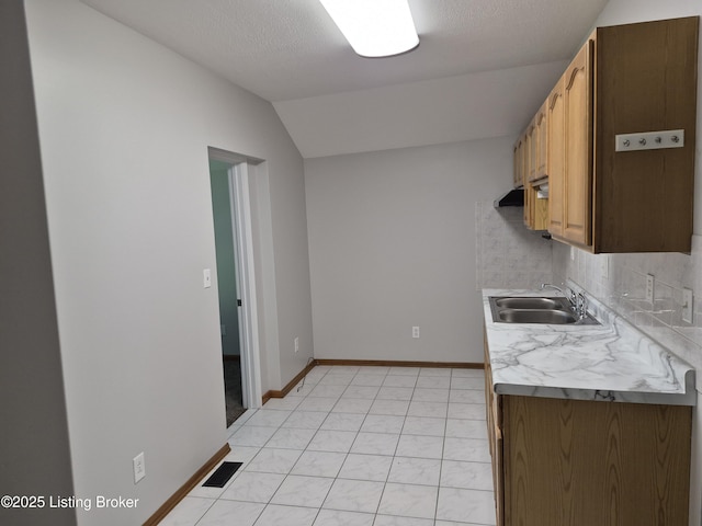 810 Packard Ave, Louisville, KY 40217 - kitchen featuring a sink, light countertops, lofted ceiling, baseboards, and tasteful backsplash