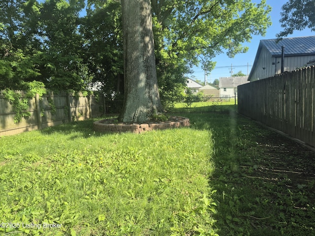 810 Packard Ave, Louisville, KY 40217 - view of yard