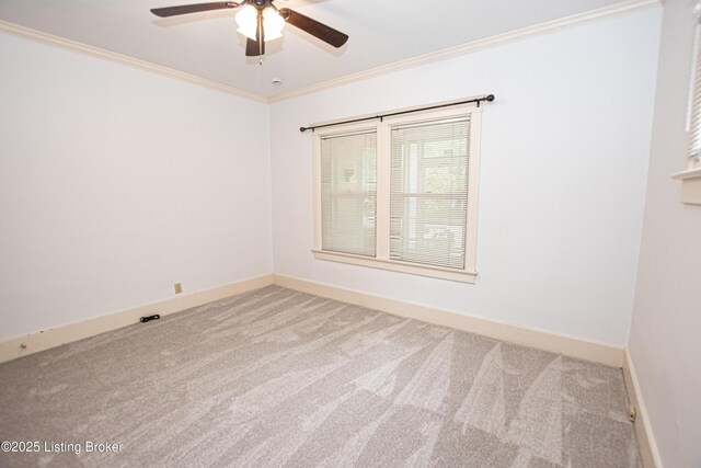 919 Eastern Pkwy, Louisville, KY 40217 - carpeted empty room with a ceiling fan, crown molding, and baseboards