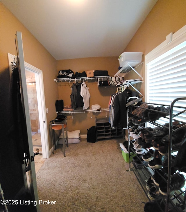 walk in closet featuring carpet and lofted ceiling