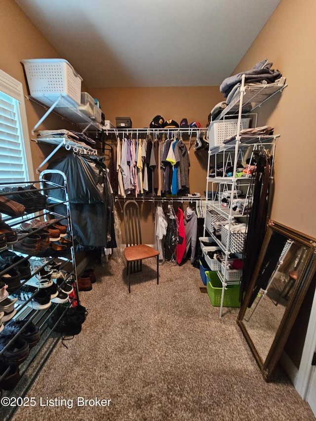 905 Fossil Creek Cir, Louisville, KY 40245 - walk in closet with carpet