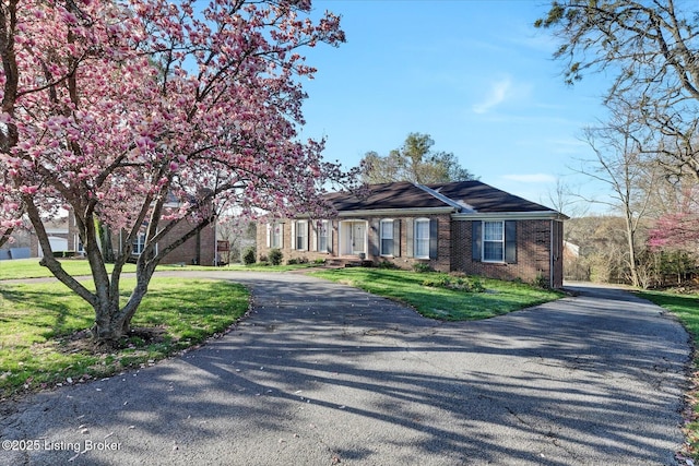 7208 Iron Gate Ct, Louisville, KY 40241 - ranch-style house featuring curved driveway, brick siding, and a front yard
