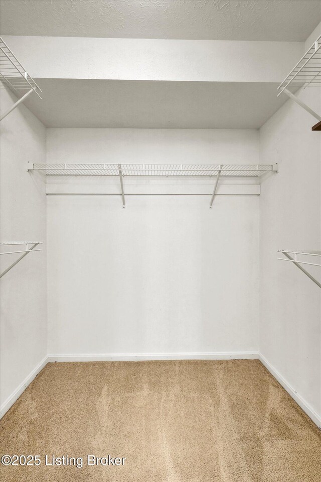 7208 Iron Gate Ct, Louisville, KY 40241 - spacious closet featuring carpet flooring