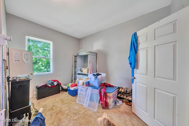 906 S Shelby St, Louisville, KY 40203 - photo 22