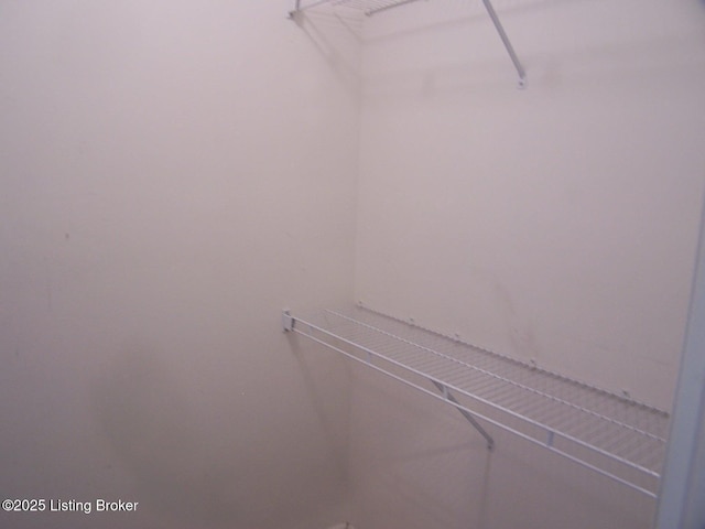 1411 Amberlin Ln, Louisville, KY 40245 - view of spacious closet