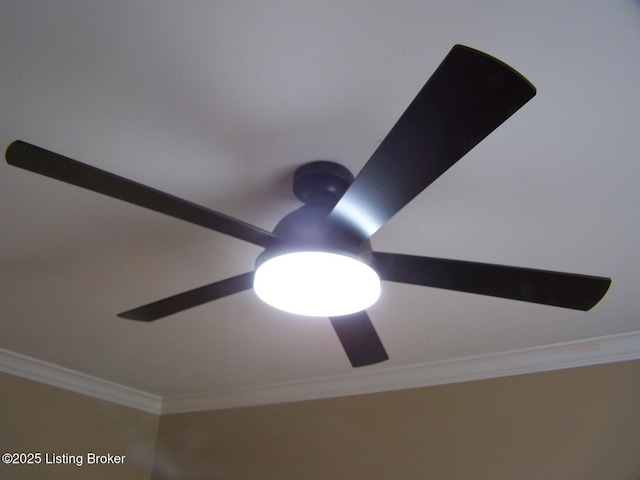 1411 Amberlin Ln, Louisville, KY 40245 - detailed view of crown molding