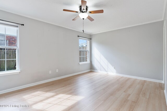 3803 Chamberlain Ln Unit B, Louisville, KY 40241 - photo 13