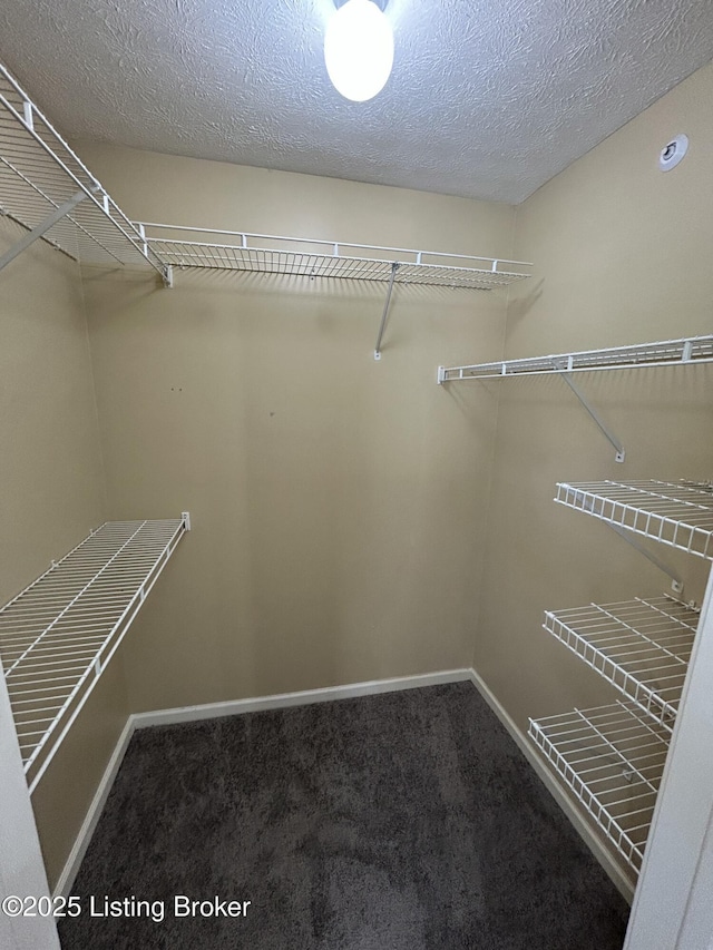 8411 Ambrosse Ln Unit 104, Louisville, KY 40299 - spacious closet with carpet flooring
